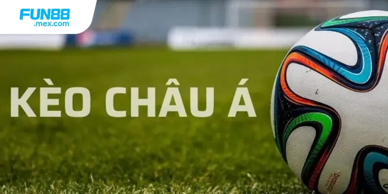 Những tỷ lệ phổ biến nhất Những tỷ lệ phổ biến nhất