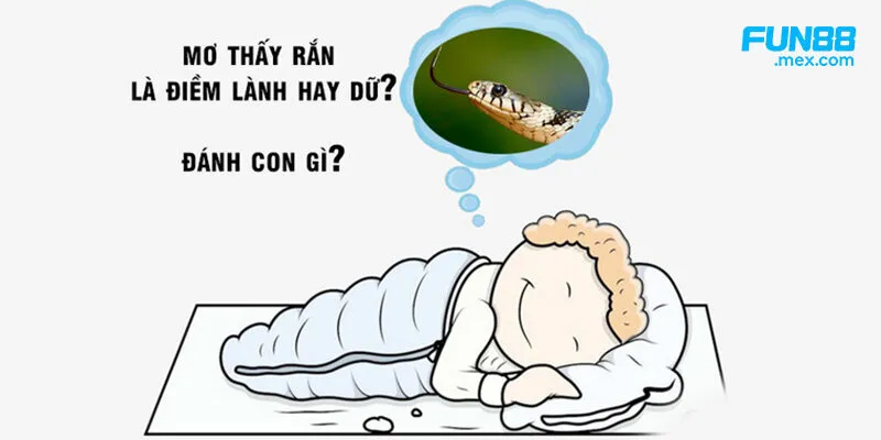 Mơ thấy rắn có gì đáng quan tâm? Mơ thấy rắn có gì đáng quan tâm?